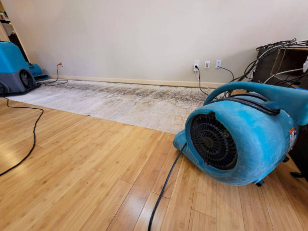 Professional Basement Flood Cleanup technician working in Milltown, WI